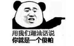 用我们潮汕话说你就是一个傻帕