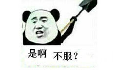 是啊，不服？