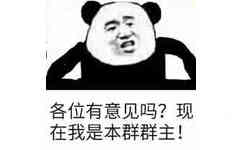 各位有意见吗？现在我是本群群主！