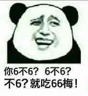 你6不6？6不6？不6？就吃66梅！