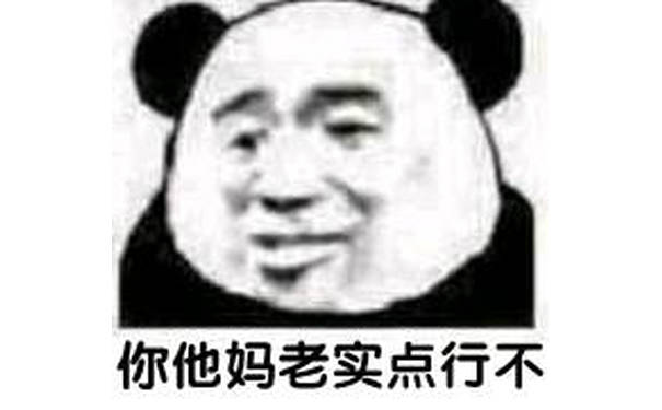 你他妈老实点行不？