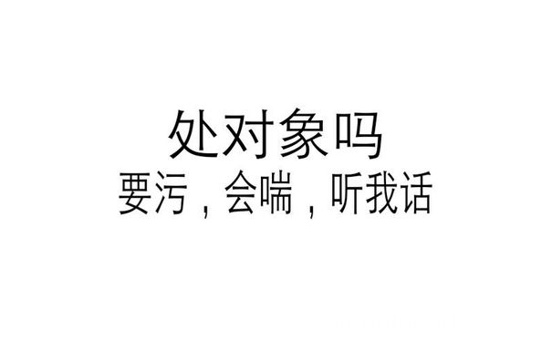 处对象吗？要污，会喘，听我话