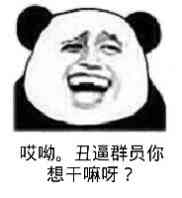 哎呦，丑逼群员你想干嘛呀？