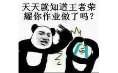 天天就知道王者荣誉你作业做了吗？