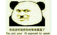 你说话时就把你的智商暴露了（you put your IQ exposed to speak）