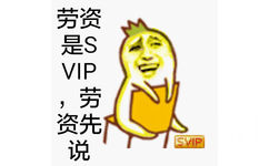 劳资是SVIP