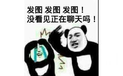 发图发图发图！没看见正在聊天吗？