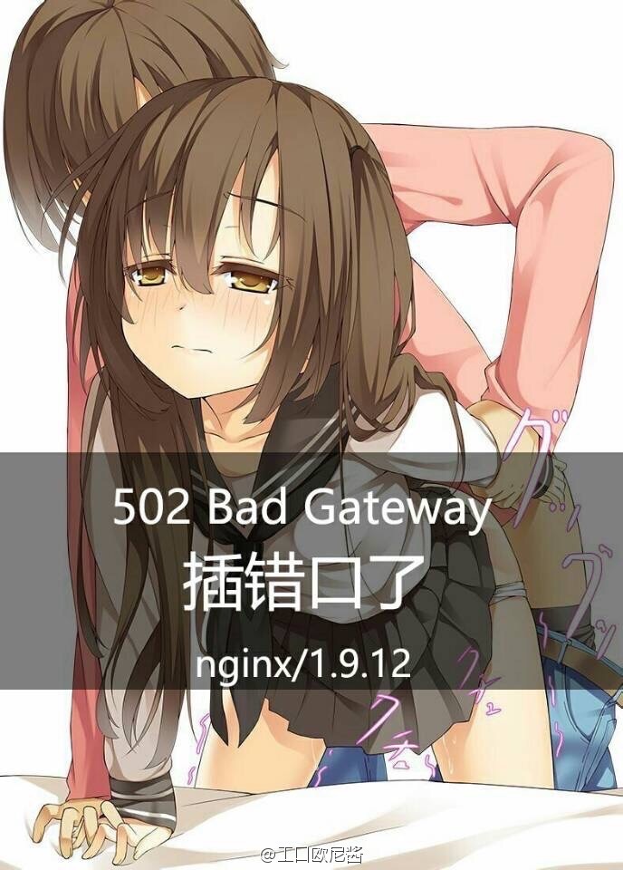 插错口了，502 bad gateway nginx/1.9.12