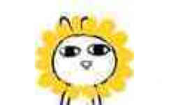 我是一朵快乐的太阳花