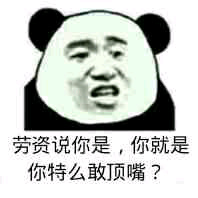 劳资说人是，你就是，你特么敢顶嘴？（熊猫人张学友）