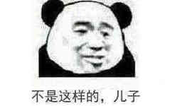 不是这样的，儿子（熊猫人伤心）