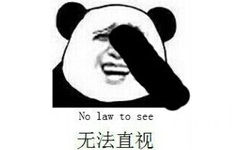 无法直视（no law to see - 熊猫人）