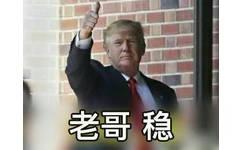 老哥，稳！（trump）