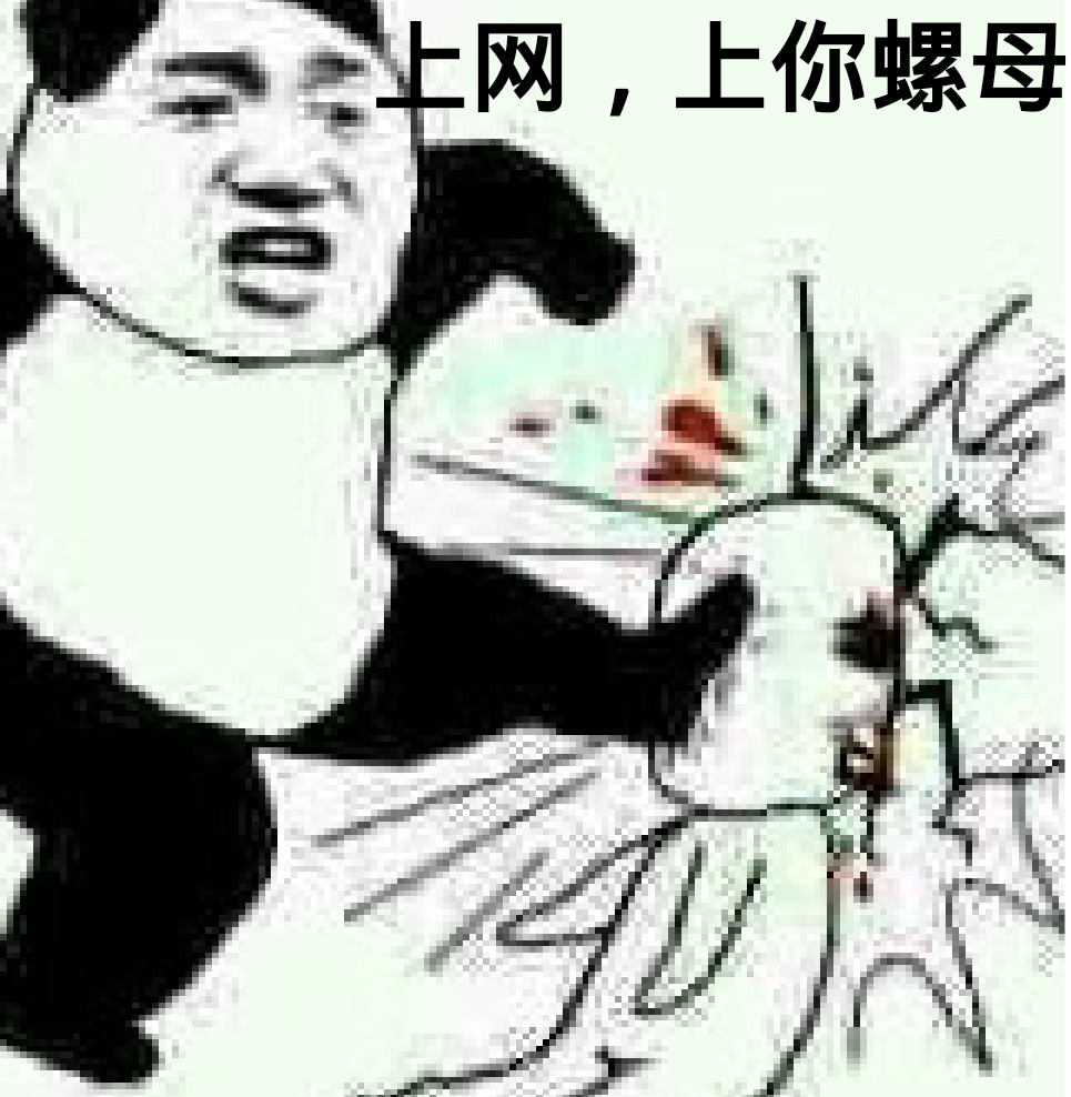 上网，上你螺母！