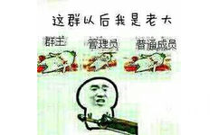 这群以后我是老大