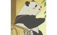 害羞小熊猫（可爱）