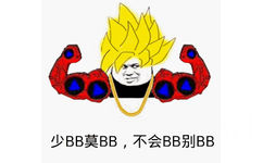 少BB莫BB，不会BB别BB