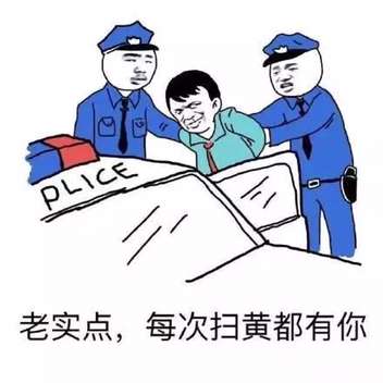 老实点，每次扫黄都有你