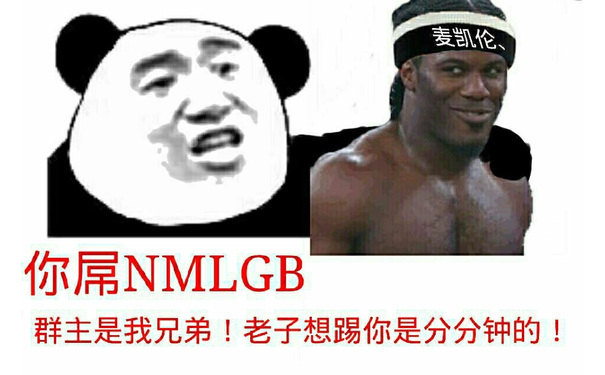 你屌NMLGB，群主是我兄弟！老子想踢你是分分钟的！