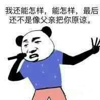 我还能怎样，能怎样，最后还不是像父亲把你原谅！