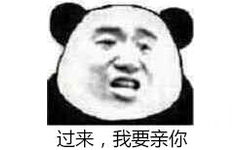 过来，我要亲你（熊猫）