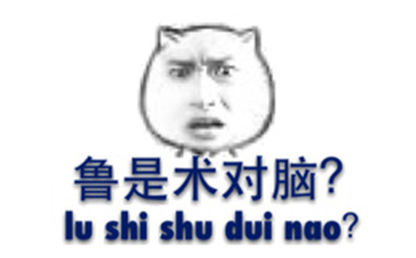 鲁是术对脑？（lu shi shu dui nao?）