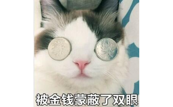 被金钱蒙衰蔽了双眼