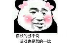 你长的丑不说游戏也是菜的一比