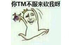 你TM不服来砍我呀