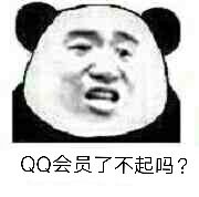 QQ会员了不起吗？