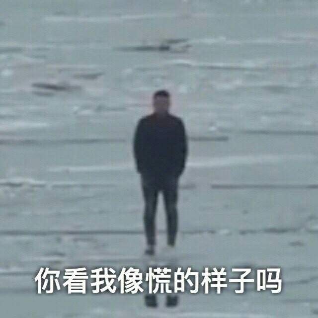 你看我像的样子吗