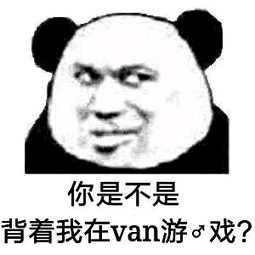 你是不是背着我在van游戏？