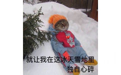 就让我在这冰天雪地里独自心碎