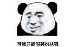 可我只能假笑扮从容