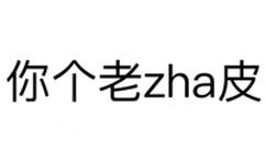 你个老zha皮