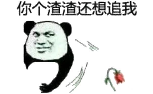 你个渣渣还想追我