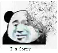 I&#039;m Sorry（脸掉了一半）