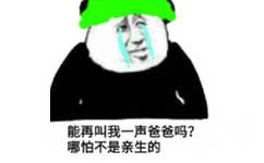 能再叫我一声爸爸吗？哪怕不是亲生的