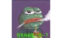 我先抽根烟冷静一下（sad frog）