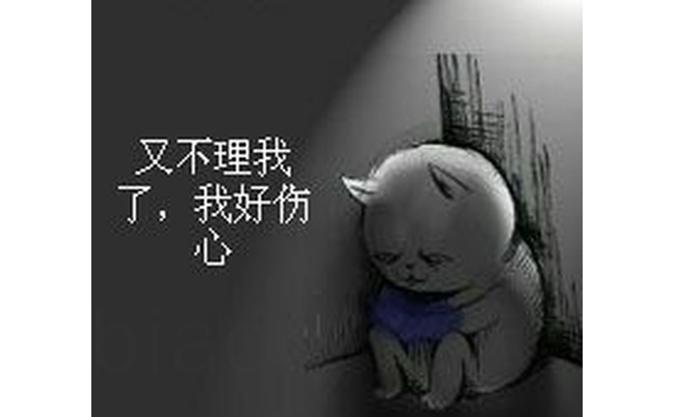 又不理我了；我好伤