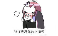 AR15容忍你的小淘气