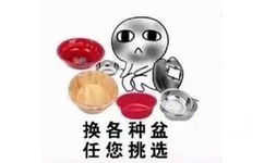 换各种盆任您挑选