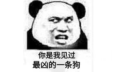 你是我见过最凶的一条狗