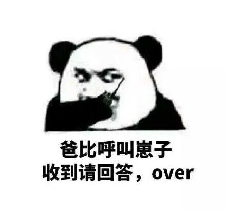 爸比呼叫崽子，收到请回答OVER