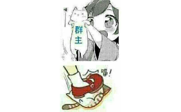 群主