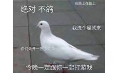 绝对不鸽