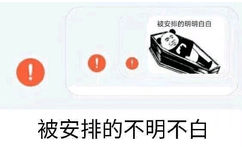 被安排的不明不白