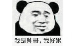 我是帅哥，我好累