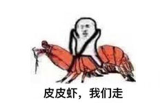 皮皮虾，我们走