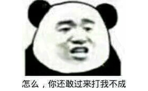 怎么，你还敢过来打我不成